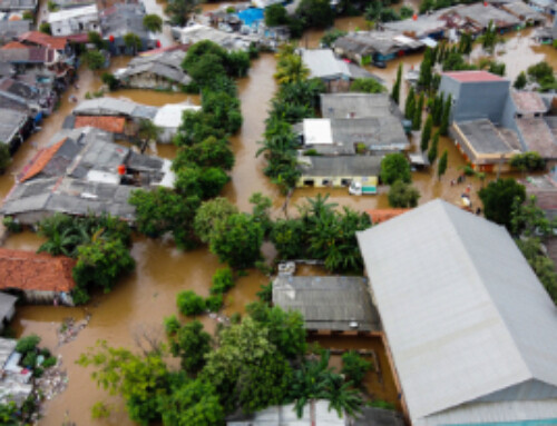 Real Estate Agent’s Need to Lead the Natural Disaster Risk Education Process